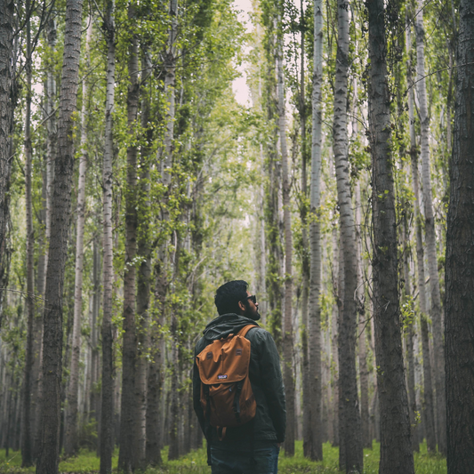 The Healing Qualities of Mother Nature