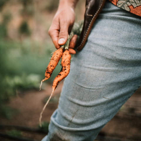 Why Organic Farming Matters (and What USDA Organic Actually Means)