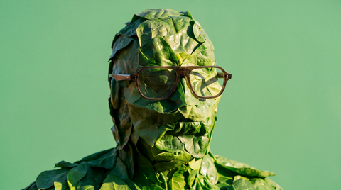Does SaladPower Have Protein?