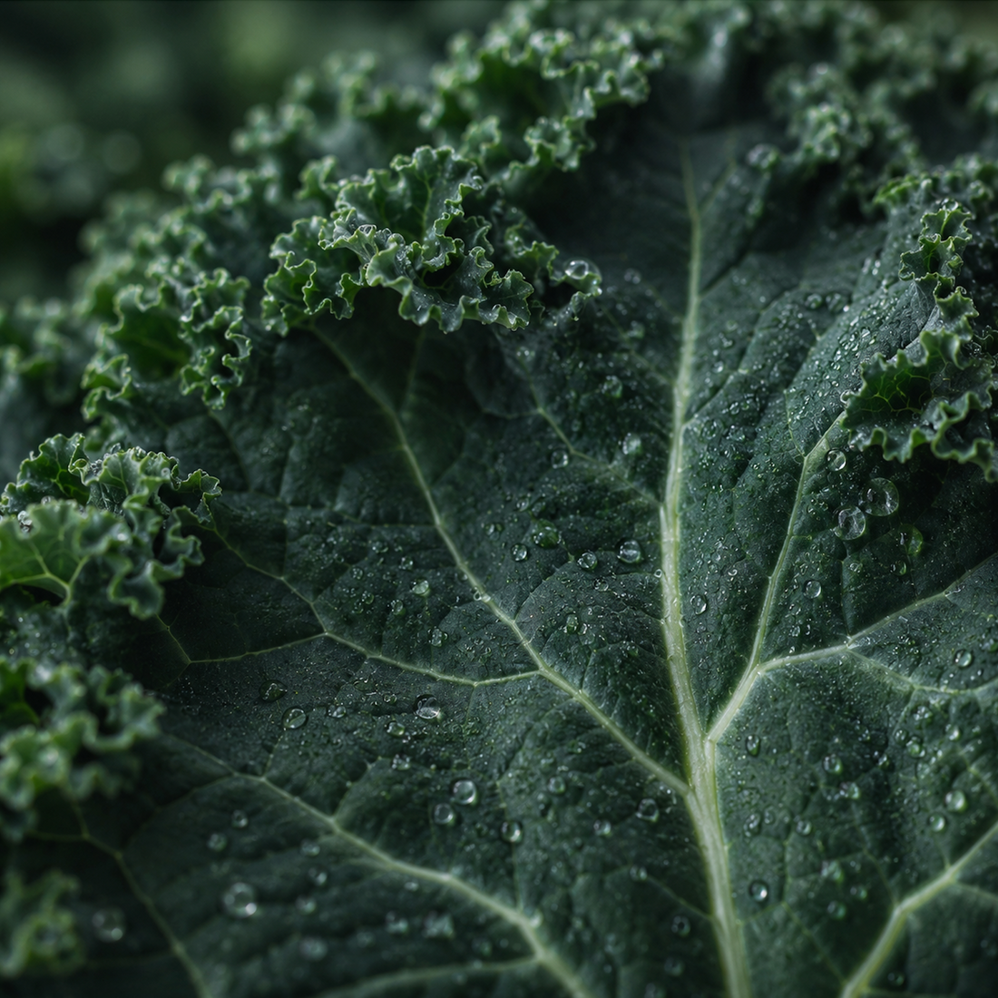 The GLP-1 Nutrition Gap: What Ozempic Users Need to Know