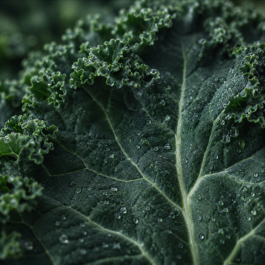 The GLP-1 Nutrition Gap: What Ozempic Users Need to Know