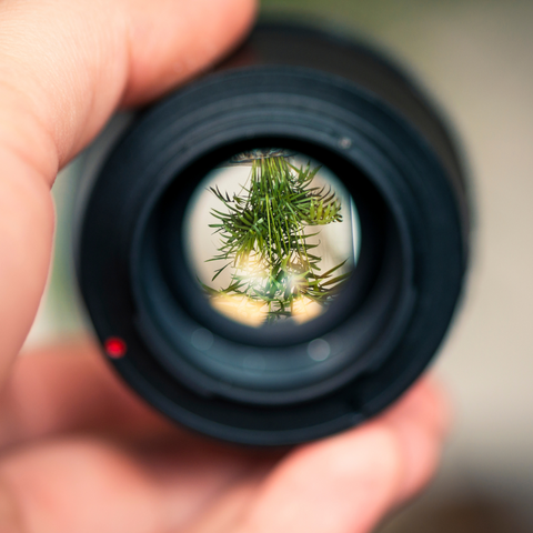 How to Boost Energy and Focus Naturally (Without Caffeine)
