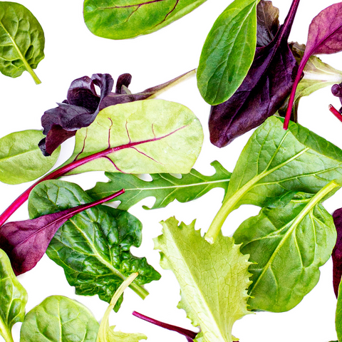 Mixed baby salad leaves including spinach and red lettuce scattered on white