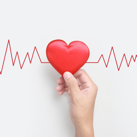 Hand holding a red heart along a drawn heartbeat pulse line