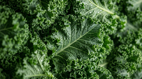 Kale
