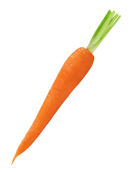 Carrot