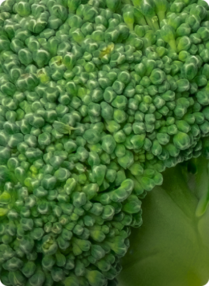 Always Organic, Now and Forever