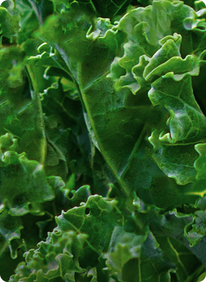 Always Organic, Now and Forever