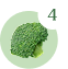 What is SaladPower®?