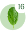 What is SaladPower®?
