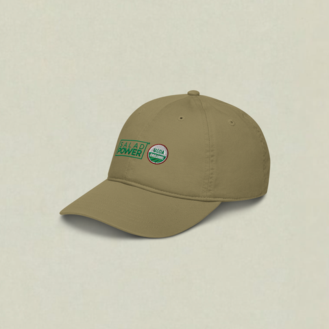 Organic Hat 2