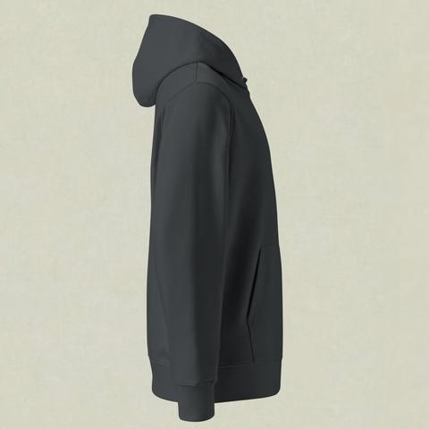 Organic Hoodie 2