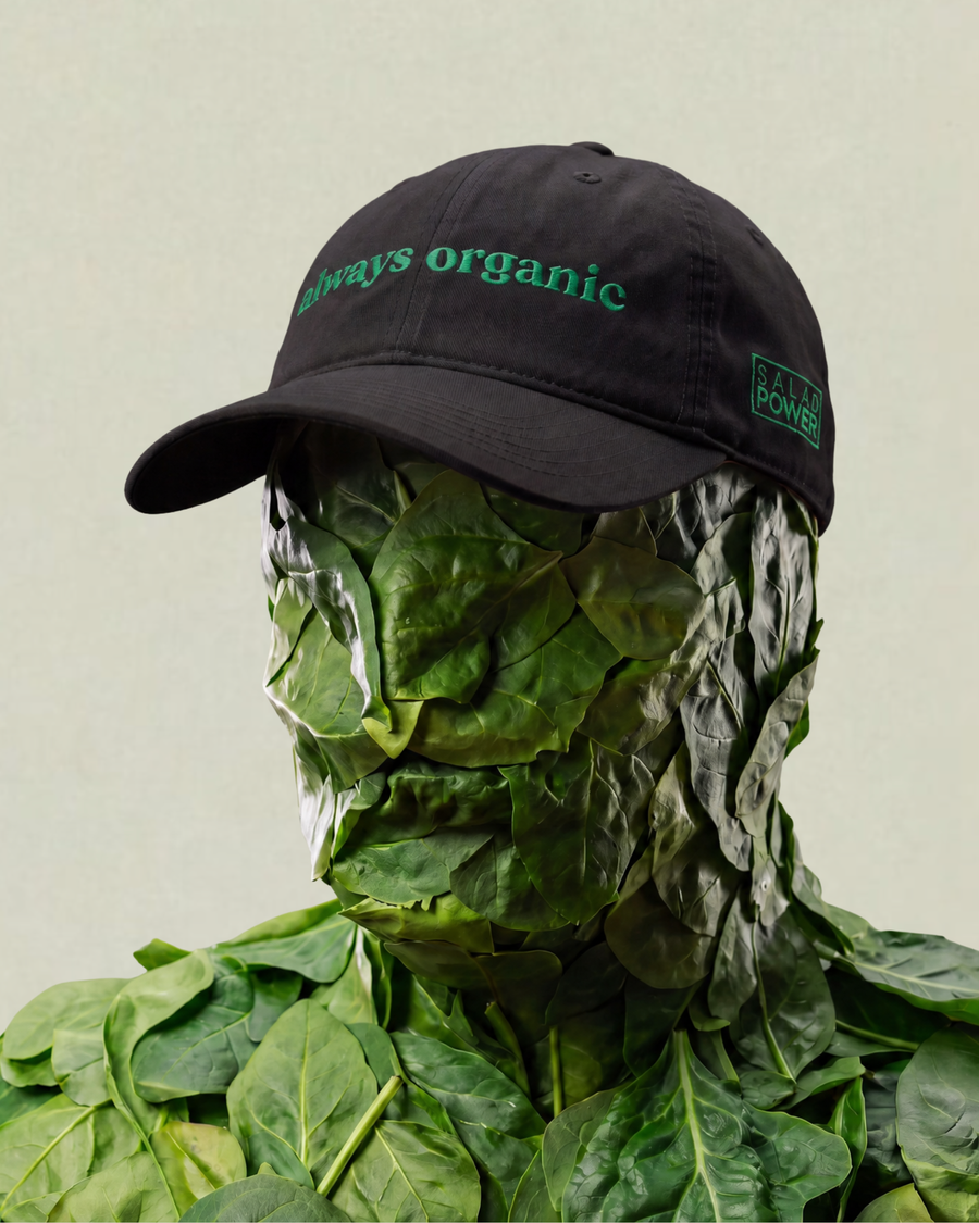 Organic Hat 3