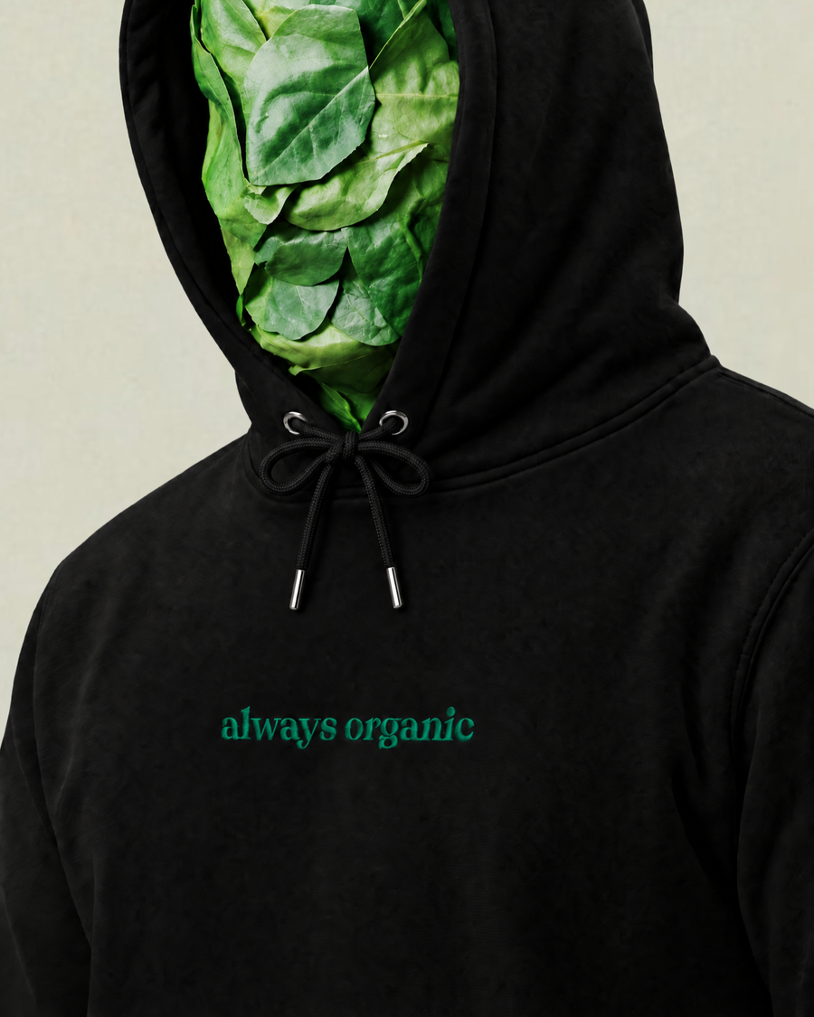 Organic Hoodie 1