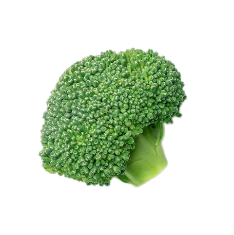Alt text not provided for this image