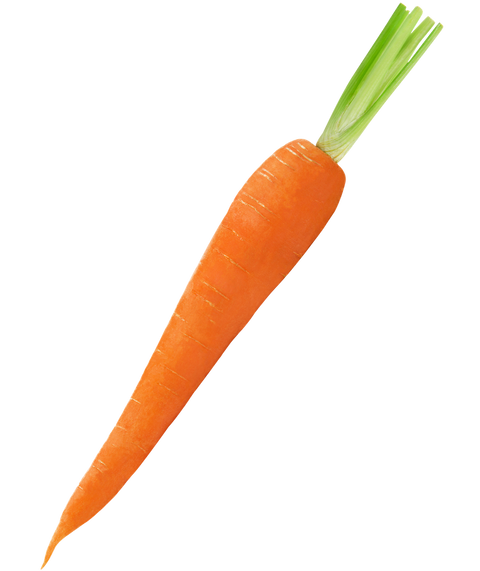 Alt text not provided for this image