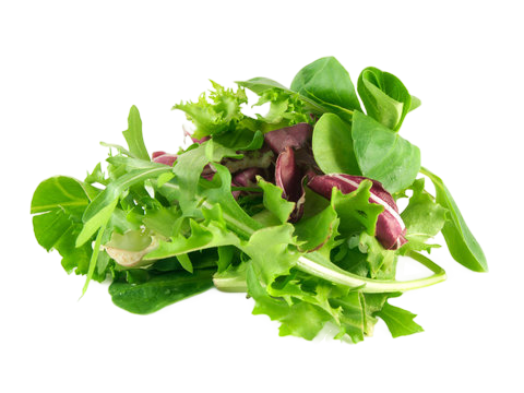 Spring Mix featured product image